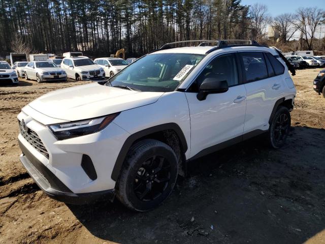 TOYOTA RAV4 LE 2023 with VIN JTMLWRFVXPD196941 - Photo from auction