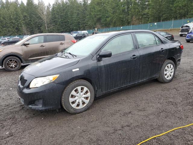 TOYOTA COROLLA BA 2009 with VIN 2T1BU40E19C172539 - Photo from auction