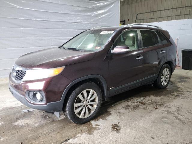 KIA SORENTO EX 2011 with VIN 5XYKUDA24BG146080 - Photo from auction