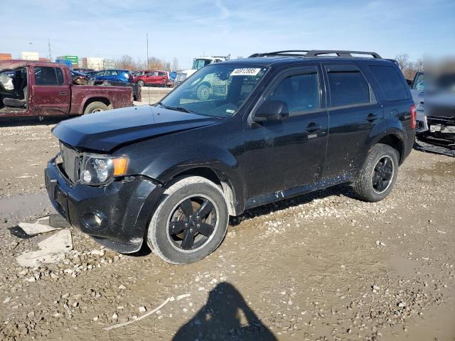 FORD ESCAPE XLT 2010 with VIN 1FMCU9DG7AKC69336 - Photo from auction