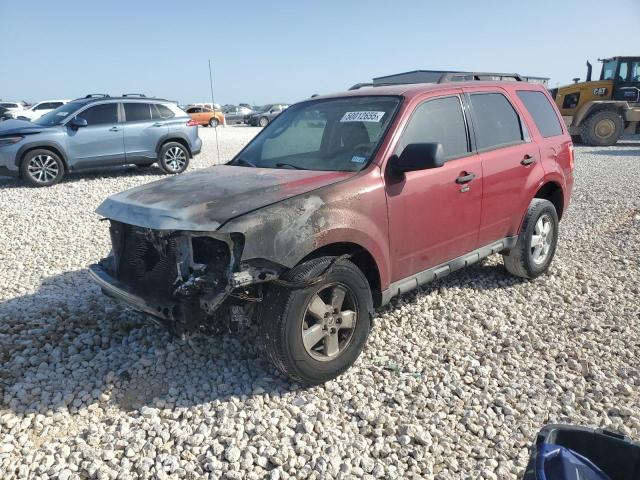 FORD ESCAPE XLT 2009 with VIN 1FMCU03G59KD10202 - Photo from auction