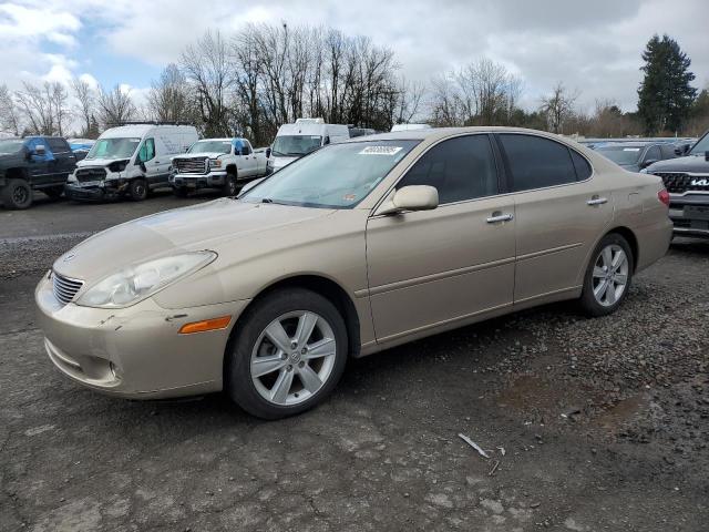 LEXUS ES 330 2005 with VIN JTHBA30G655132869 - Photo from auction