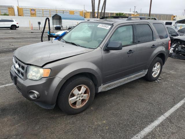 FORD ESCAPE XLT 2010 مع رقم تعريف المركبة 1FMCU0DG7AKB62024 - صورة من المزاد