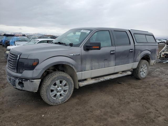 FORD F150 SUPER 2010 with VIN 1FTFW1EV7AFD26217 - Photo from auction