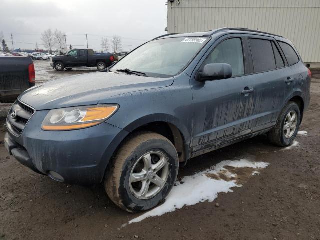 HYUNDAI SANTA FE G 2009 with VIN 5NMSG13E89H321346 - Photo from auction