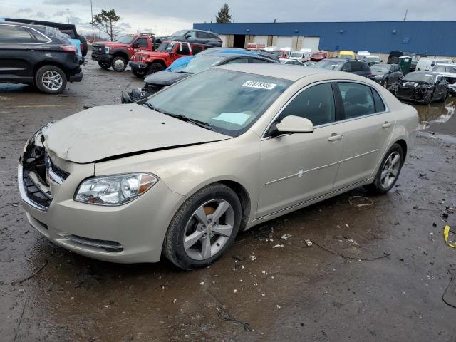 CHEVROLET MALIBU 1LT 2011 with VIN 1G1ZC5E11BF309479 - Photo from auction