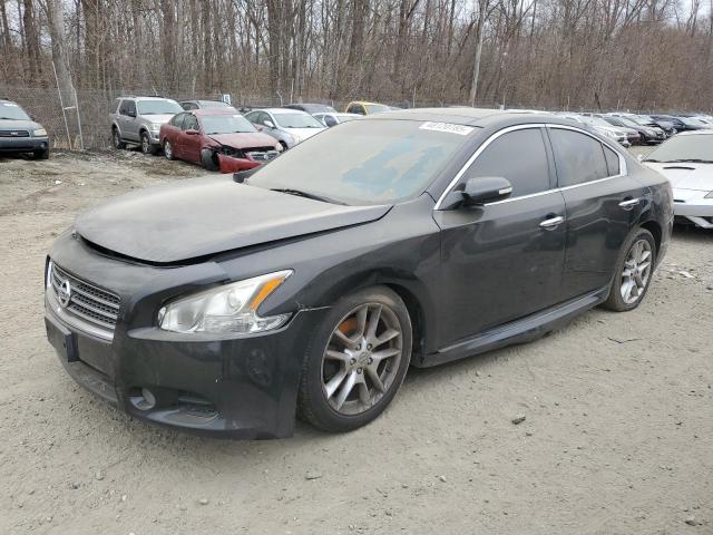 NISSAN MAXIMA S 2009 with VIN 1N4AA51E99C807997 - Photo from auction