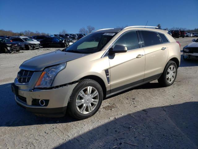CADILLAC SRX LUXURY 2011 with VIN 3GYFNDEY9BS533794 - Photo from auction
