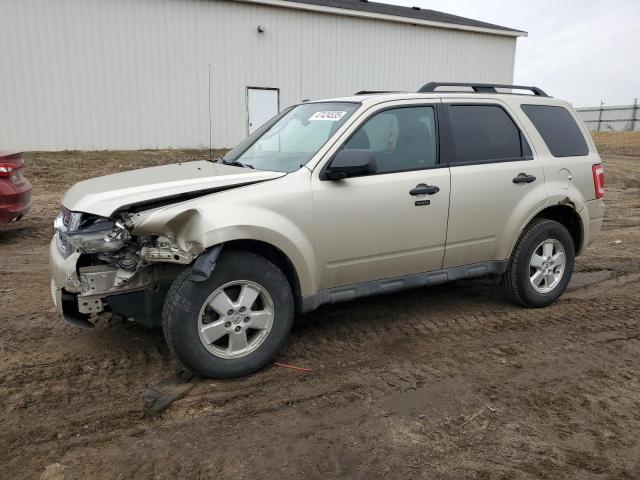 FORD ESCAPE XLT 2011 with VIN 1FMCU9DG0BKA21429 - Photo from auction