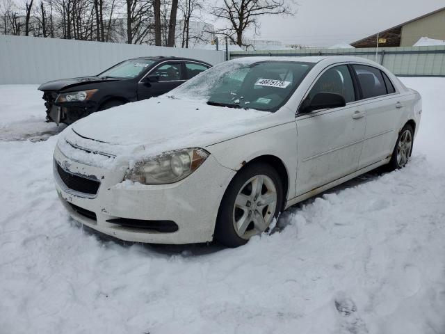 CHEVROLET MALIBU LS 2011 with VIN 1G1ZB5E11BF144343 - Photo from auction