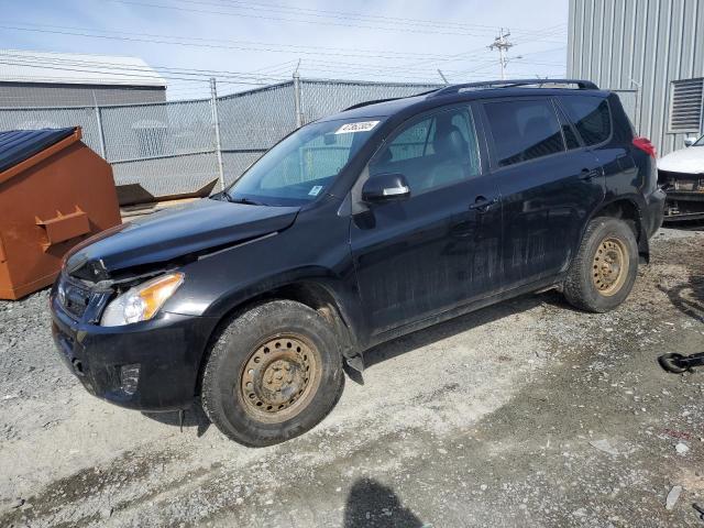 TOYOTA RAV4 2011 with VIN 2T3BF4DV9BW165385 - Photo from auction