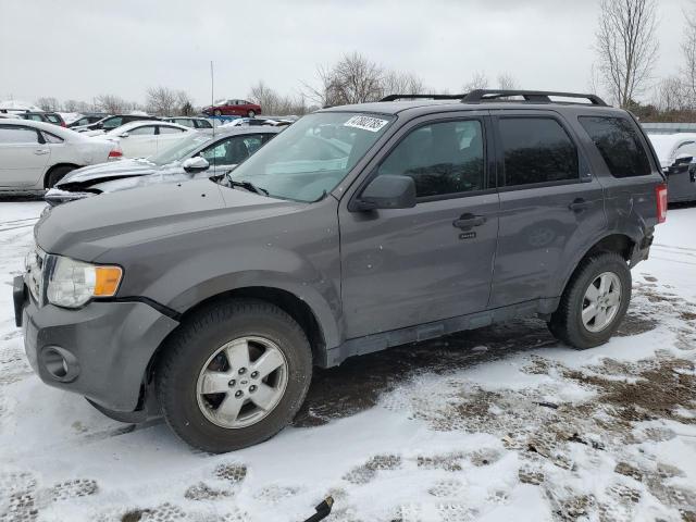 FORD ESCAPE XLT 2011 with VIN 1FMCU0DG9BKA70253 - Photo from auction