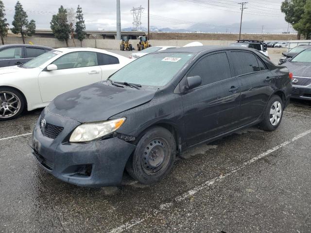 TOYOTA COROLLA BA 2010 with VIN 1NXBU4EE9AZ308038 - Photo from auction