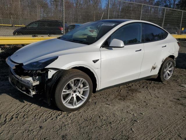 TESLA MODEL Y 2024 with VIN 7SAYGDED6RF027481 - Photo from auction