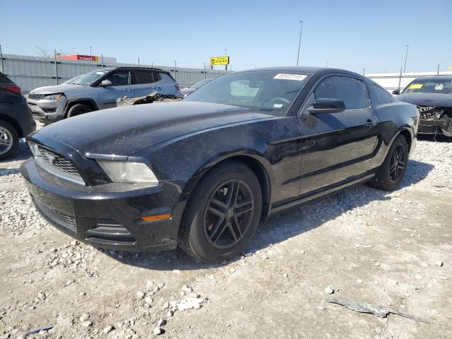 Photo 1 from auction – 2014 FORD MUSTANG with VIN 1ZVBP8AM4E5231107