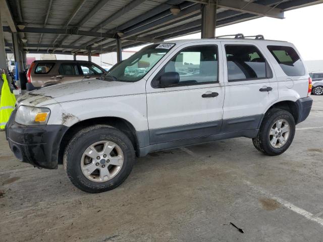FORD ESCAPE XLT 2005 with VIN 1FMCU93145KC07704 - Photo from auction