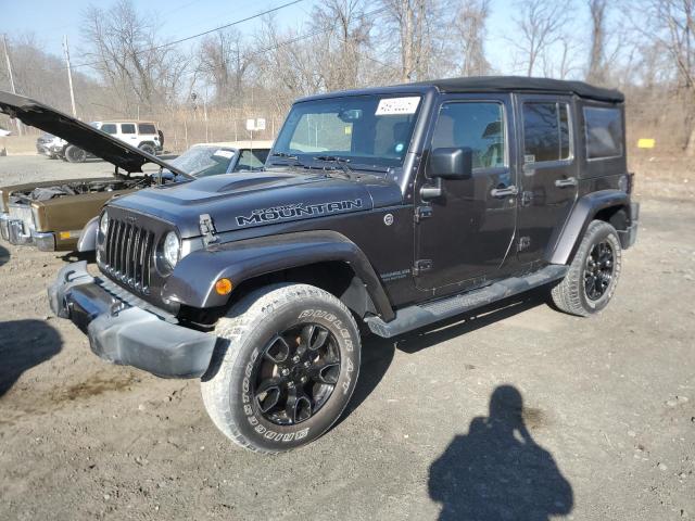 JEEP WRANGLER U 2017 with VIN 1C4BJWEG3HL674913 - Photo from auction