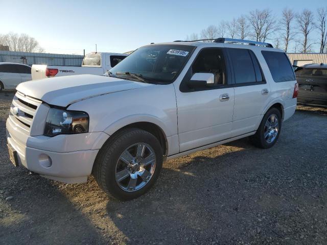 FORD EXPEDITION 2009 with VIN 1FMFU20549LA03965 - Photo from auction