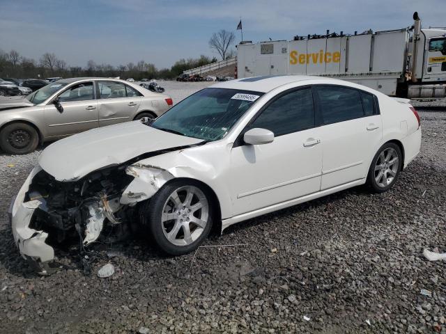 NISSAN MAXIMA SE 2008 with VIN 1N4BA41E58C830402 - Photo from auction