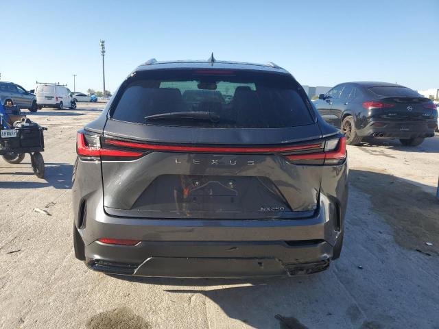 Photo 6 from auction – 2024 LEXUS NX 250 BAS with VIN 2T2ADCAZ5RC008083