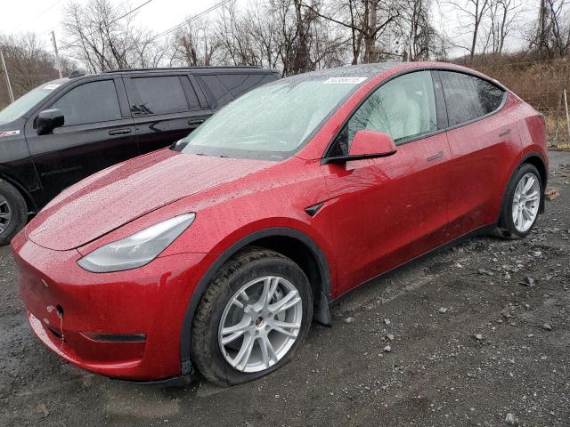 TESLA MODEL Y 2024 с VIN 7SAYGDEE2RA247349 - Снимка от търг