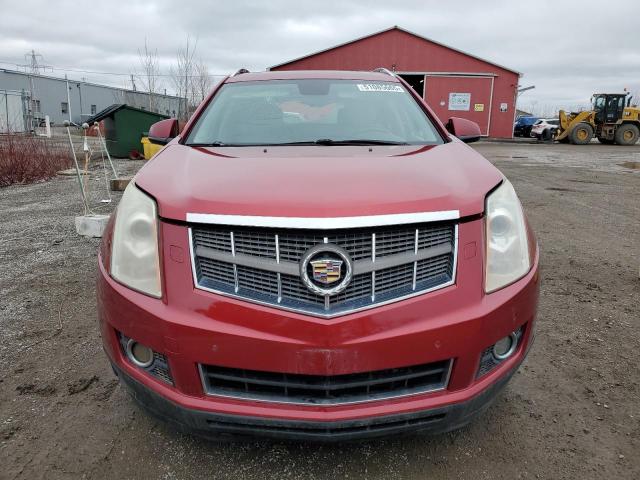 Photo 5 from auction – 2010 CADILLAC SRX PERFOR with VIN 3GYFNEE43AS617028