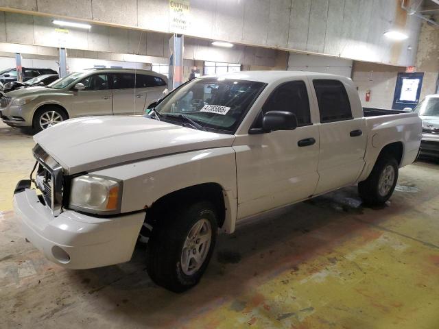 DODGE DAKOTA QUA 2007 with VIN 1D7HE48KX7S212491 - Photo from auction