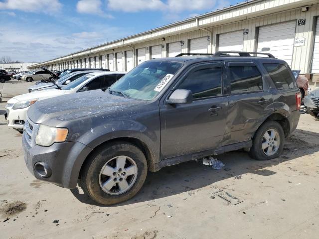FORD ESCAPE XLT 2009 with VIN 1FMCU03G49KA04186 - Photo from auction
