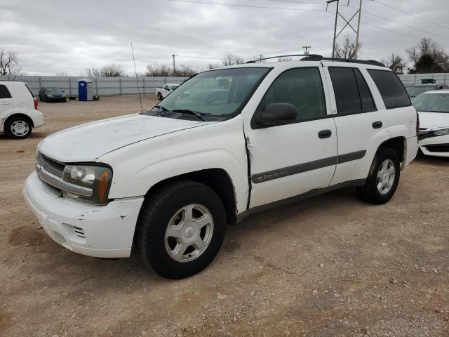 Photo 1 from auction – 2003 CHEVROLET TRAILBLAZE with VIN 1GNDS13S432324129
