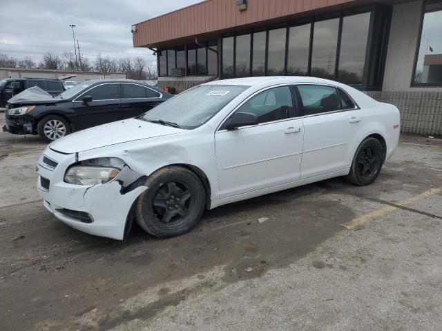 CHEVROLET MALIBU LS 2012 with VIN 1G1ZA5E04CF398012 - Photo from auction