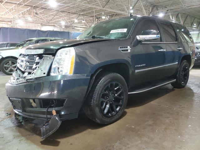 CADILLAC ESCALADE P 2011 с VIN 1GYS4CEFXBR194492 - Фото с аукциона
