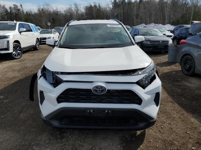 Photo 5 from auction – 2024 TOYOTA RAV4 LE with VIN 2T3BWRFV4RW230700