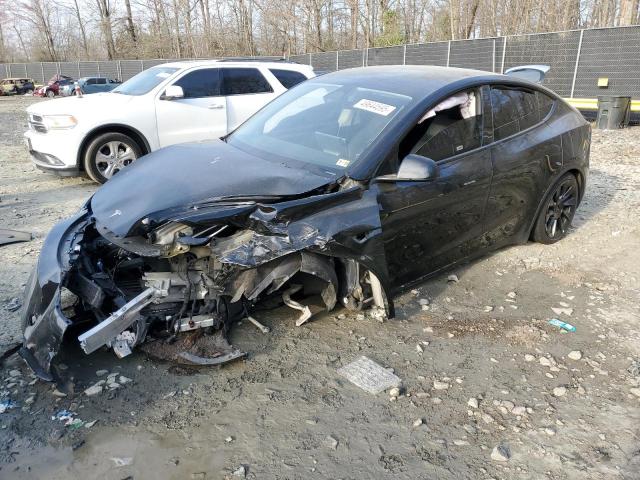 TESLA MODEL Y 2023 with VIN 7SAYGDEE1PF693055 - Photo from auction