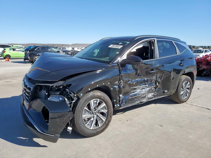 HYUNDAI TUCSON BLU 2024 with VIN KM8JBCD18RU167310 - Photo from auction