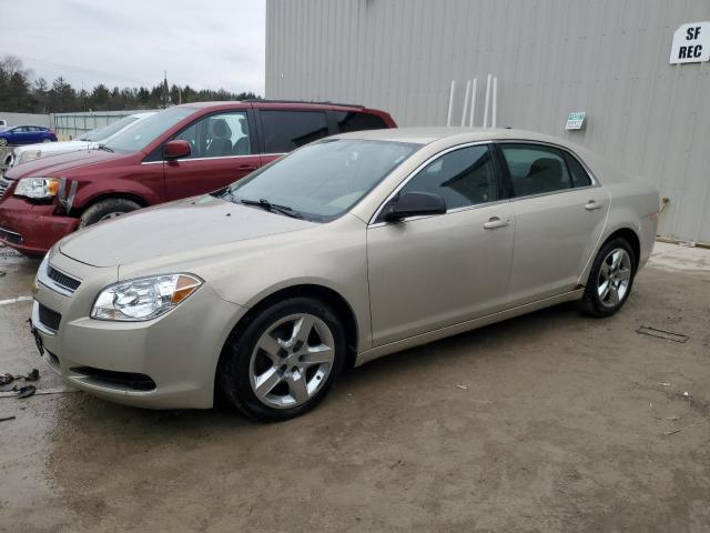CHEVROLET MALIBU LS 2012 with VIN 1G1ZB5E02CF305243 - Photo from auction