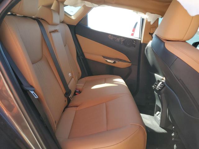 صورة رقم 11 من المزاد - 2025 LEXUS NX 250 BAS مع VIN 2T2ADCAZ7SC023643