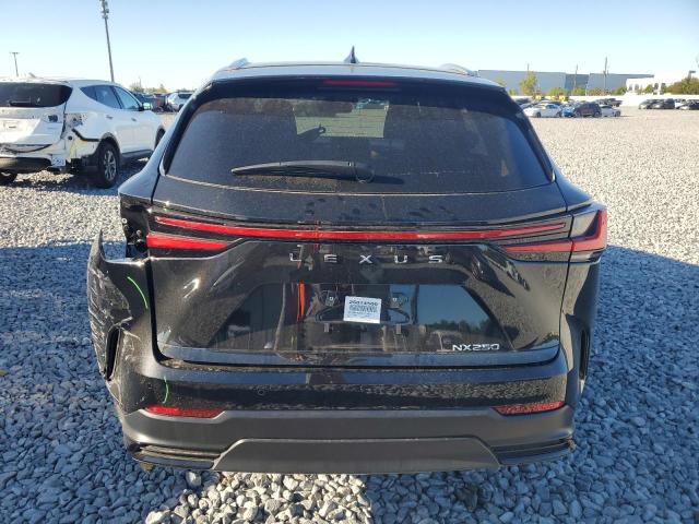 Photo 6 from auction – 2025 LEXUS NX 250 BAS with VIN 2T2ADCAZ0SC017635
