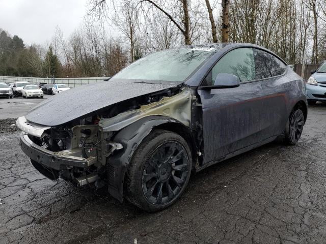 TESLA MODEL Y 2023 with VIN 7SAYGAEE8PF751953 - Photo from auction