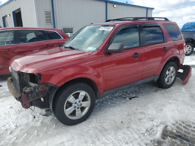 FORD ESCAPE XLT 2010 with VIN 1FMCU9DG4AKD09307 - Photo from auction