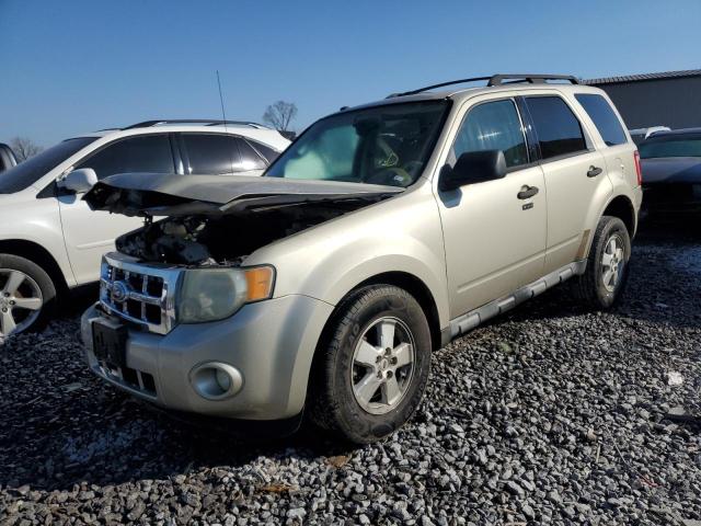 FORD ESCAPE XLT 2010 with VIN 1FMCU0D71AKA71198 - Photo from auction
