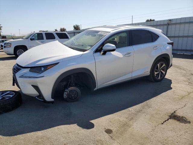 LEXUS NX 300H 2019 with VIN JTJBJRBZ0K2104109 - Photo from auction
