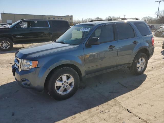 FORD ESCAPE XLT 2011 with VIN 1FMCU0DG2BKA43606 - Photo from auction