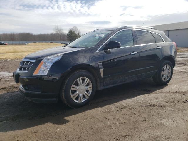 CADILLAC SRX LUXURY 2011 with VIN 3GYFNDEYXBS673689 - Photo from auction