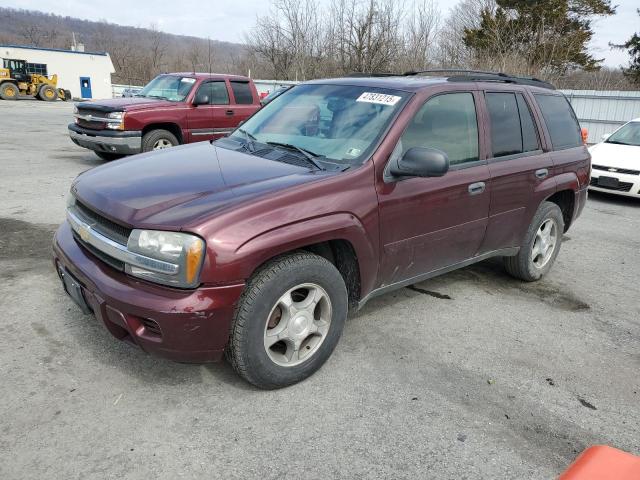 CHEVROLET TRAILBLAZE 2006 with VIN 1GNDT13S262329492 - Photo from auction