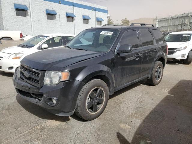 FORD ESCAPE XLT 2010 with VIN 1FMCU9DGXAKB00024 - Photo from auction