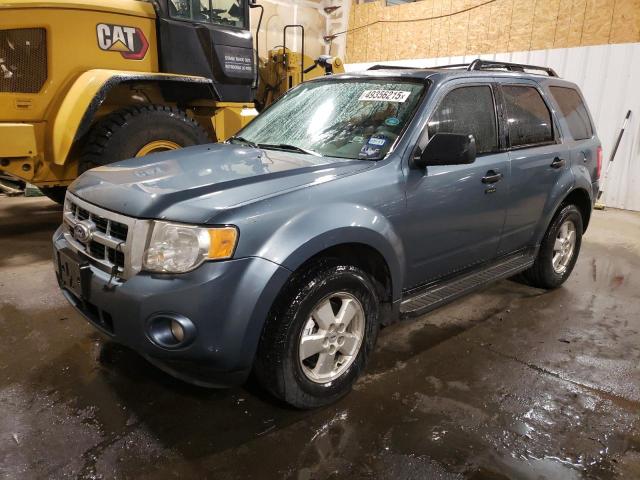 FORD ESCAPE XLT 2010 with VIN 1FMCU0D76AKC67587 - Photo from auction