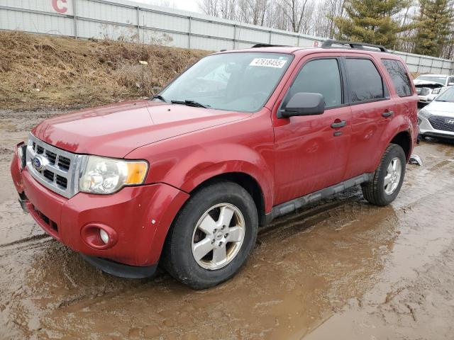 FORD ESCAPE XLT 2011 with VIN 1FMCU0D74BKC40860 - Photo from auction
