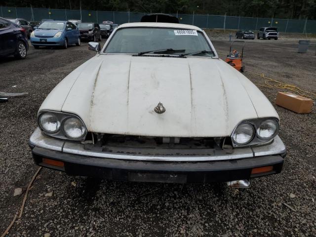صورة رقم 5 من المزاد - 1989 JAGUAR XJS مع VIN SAJNA5840KC150684