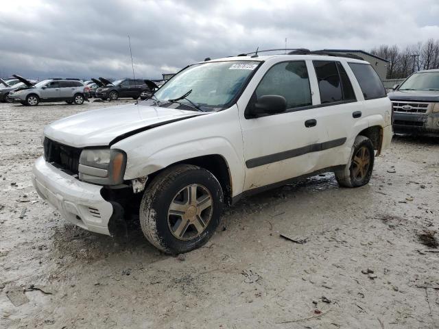 CHEVROLET TRAILBLAZE 2005 with VIN 1GNDT13S252298615 - Photo from auction