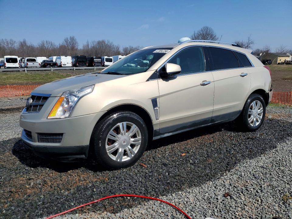 CADILLAC SRX 2010 with VIN 3GYFNDEY0AS544066 - Photo from auction